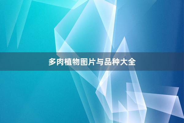 多肉植物图片与品种大全