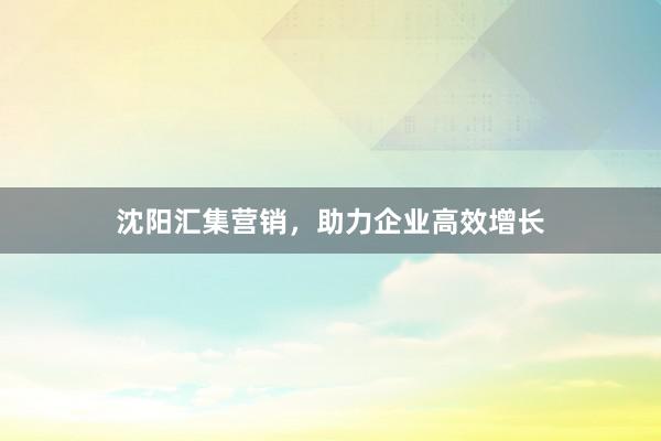 沈阳汇集营销，助力企业高效增长
